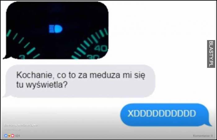 co to za meduza