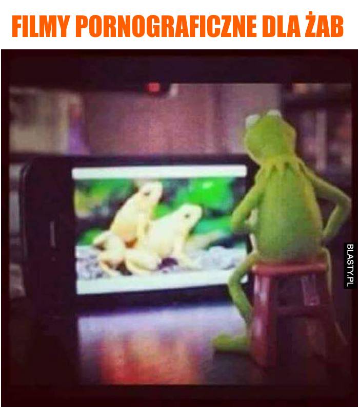 filmy dla żab