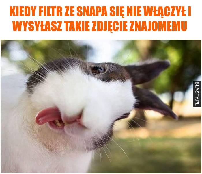 filtr ze snapa