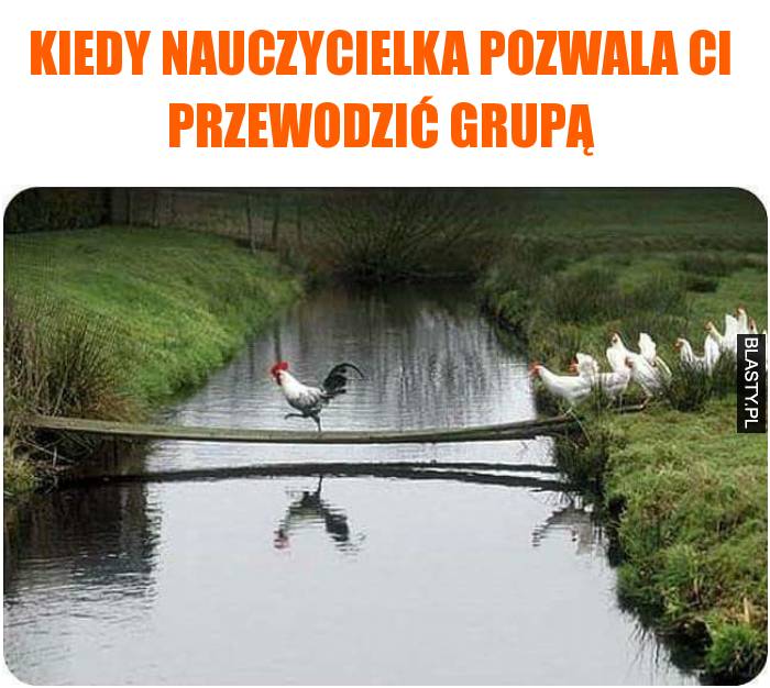 kiedy nauczycielka pozwala Ci przewodzić grupą