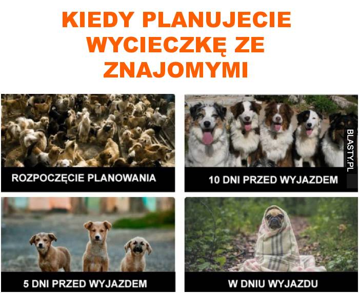 Kiedy planujecie wycieczkę ze znajomymi