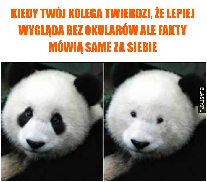 kolega bez okularów