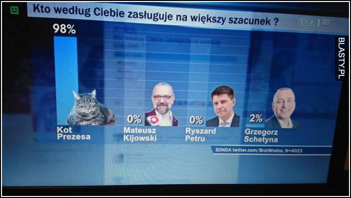 kot zasługuje na większy szacunek