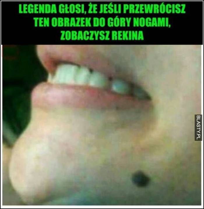 Legend głosi ze zobaczysz rekkina