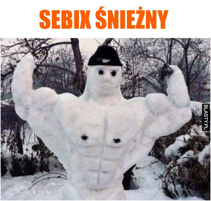 sebix ze śniegu