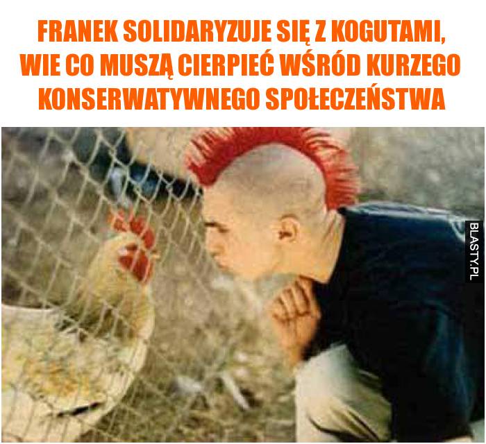 solidarność