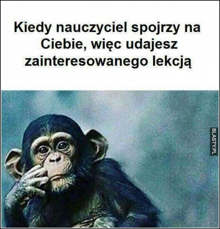 zainteresowany lekcją