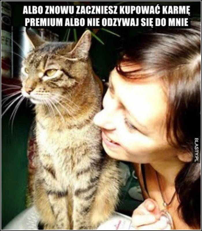 albo znowu zaczniesz kupować karmę premium, albo nie odzywaj się do mnie