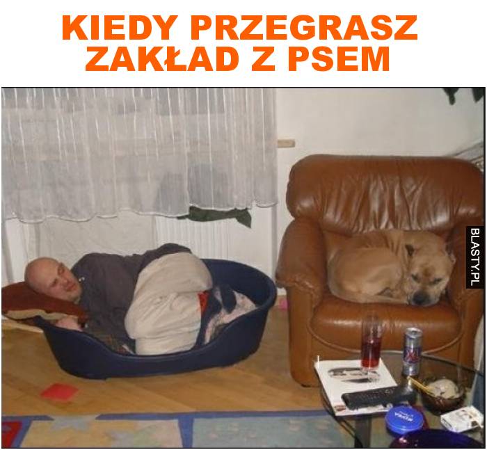 kiedy przegrasz zakład z psem