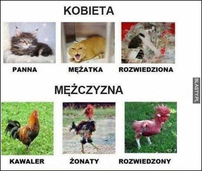 Kobieta vs mężczyzna żonata, rozwiedziona