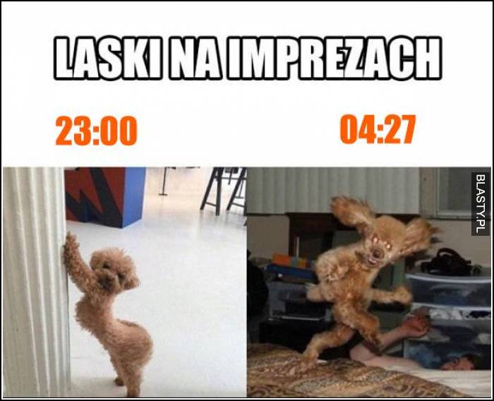 Laski na imprezach