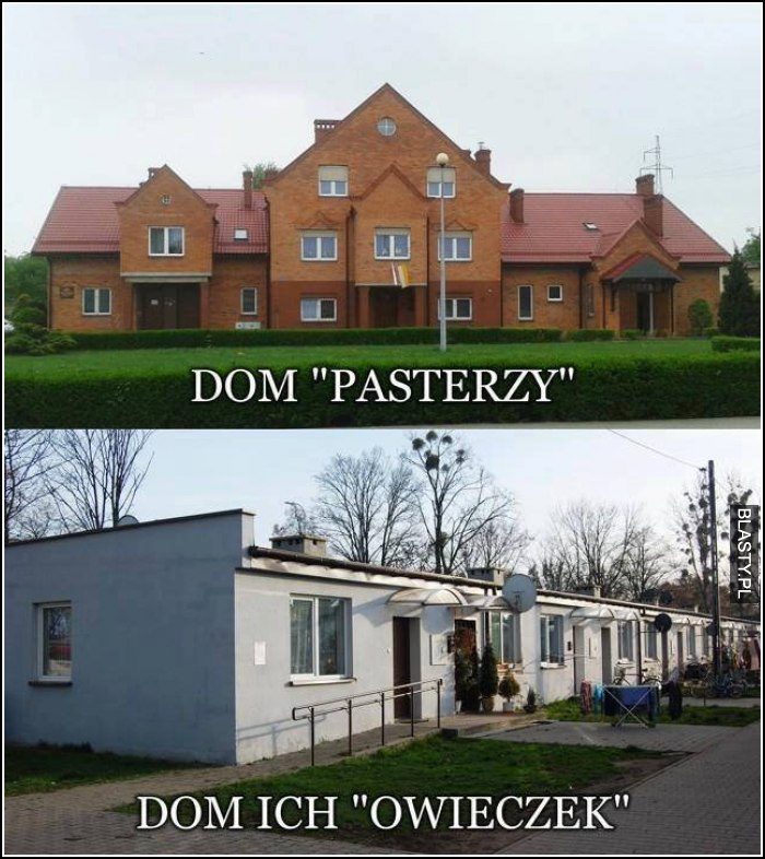 dom pasterzy i ich owieczek