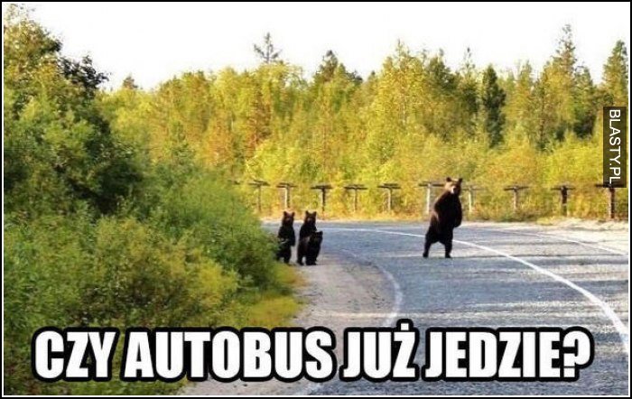 czy autobus już jedzie ?