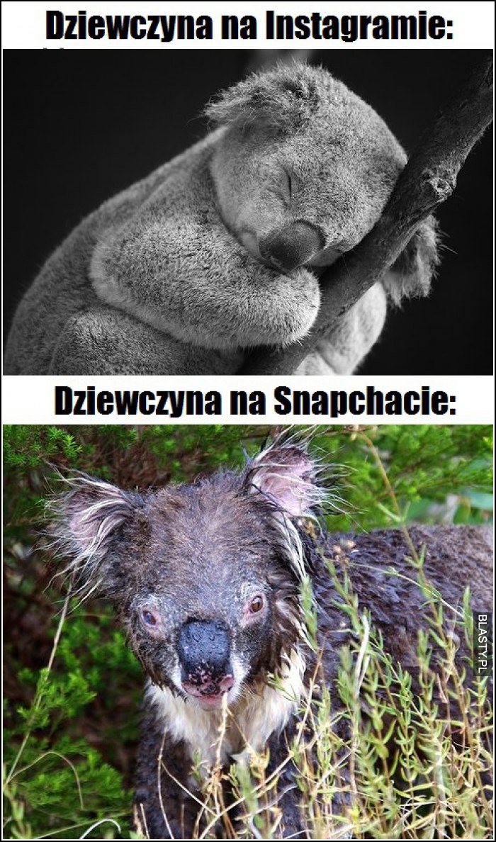 Dziewczyny na Instragramie