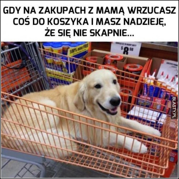 gdy na zakupach z mamą wrzucisz coś do kosza