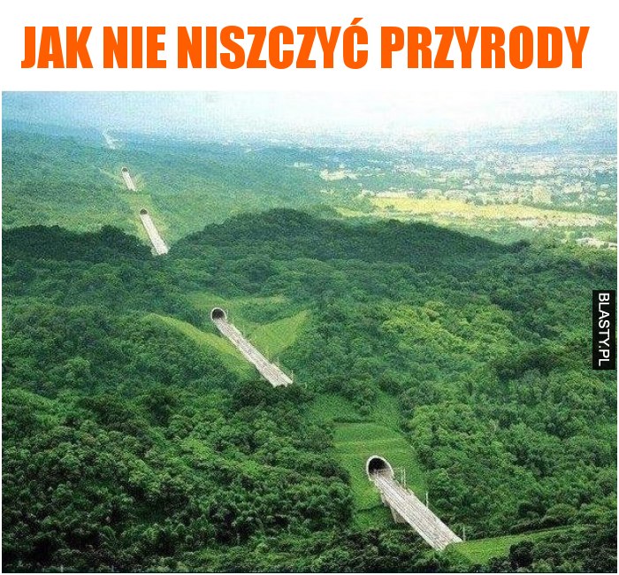 Jak nie niszczyć przyrody