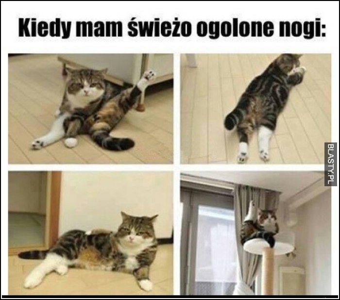 Kiedy mam świeżo ogolone nogi