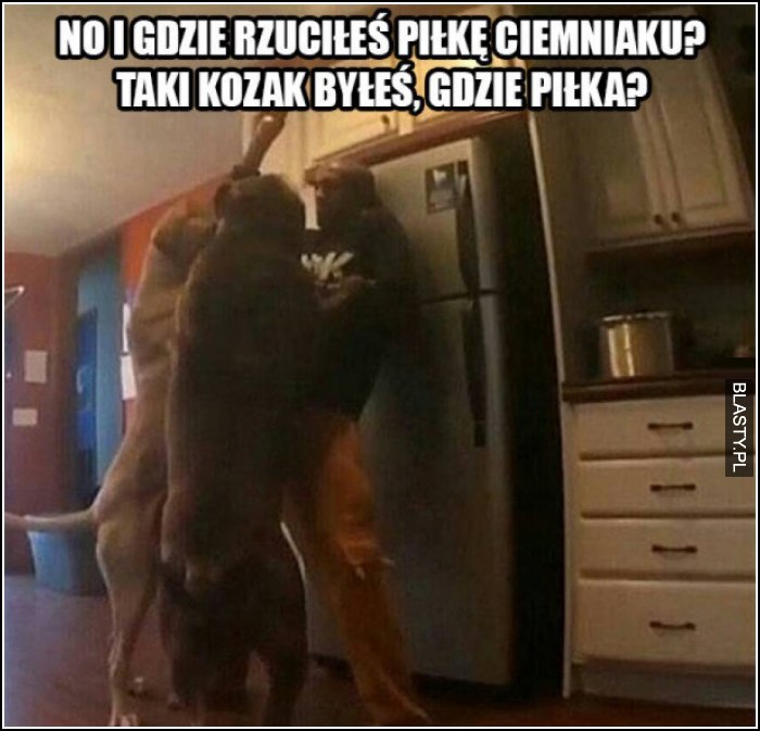 no i gdzie rzuciłeś piłkę ciemniaku