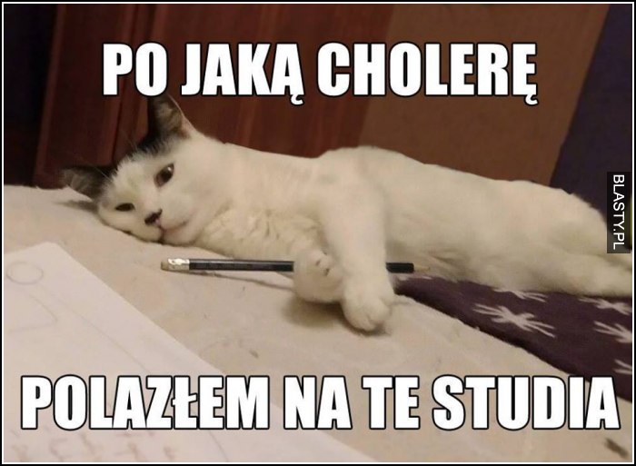 Po jaką cholerę polazłem na te studia