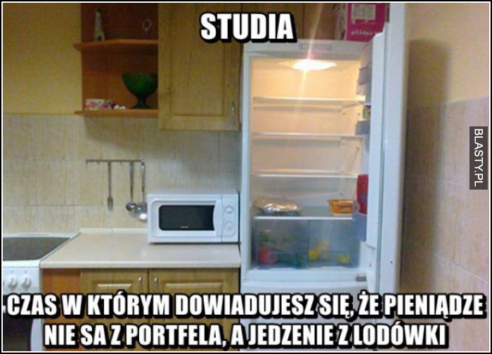 Studia takie są