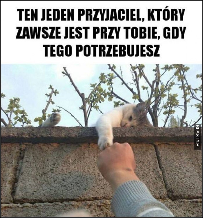 Ten jeden przyjaciel, który jest przy tobie kiedy go potrzebujesz