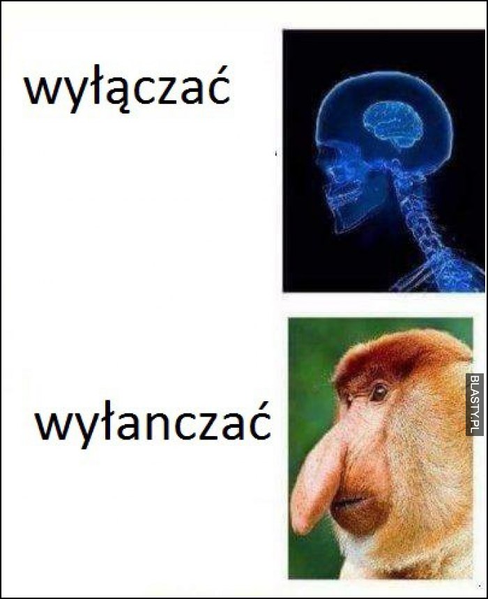 Wyłączać