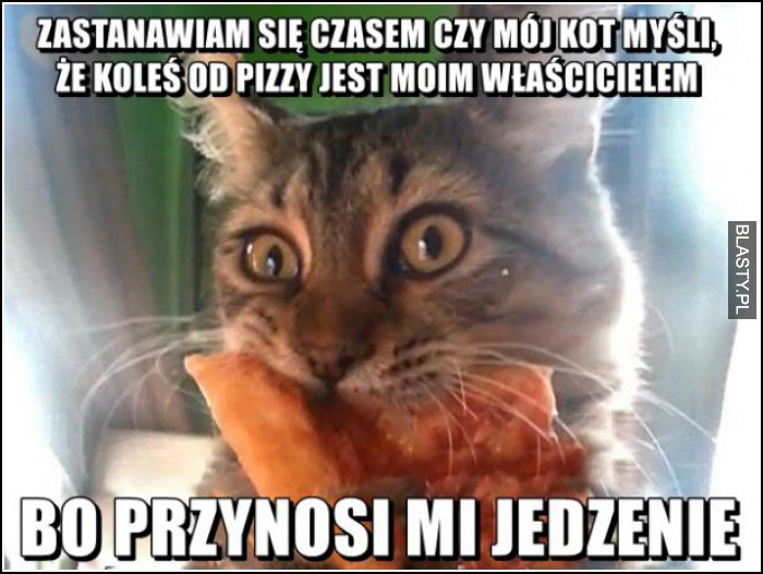 zastanawiam się czy czasem mój kot nie myśli, że koleś od pizzy jest moim właścielem