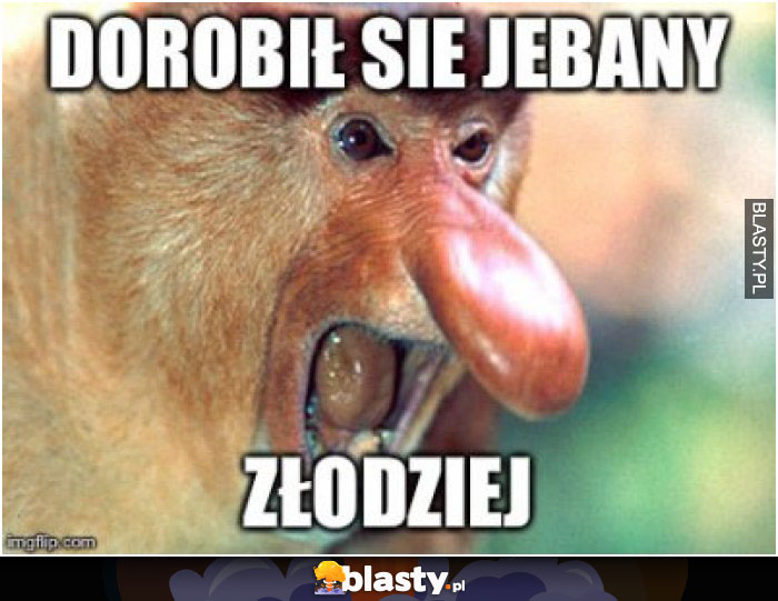 Dorobił się jebany złodziej