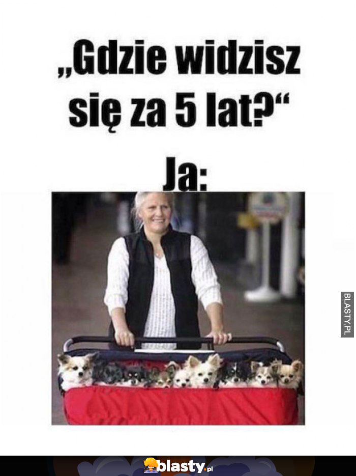 Gdzie widzisz się za 5 lat