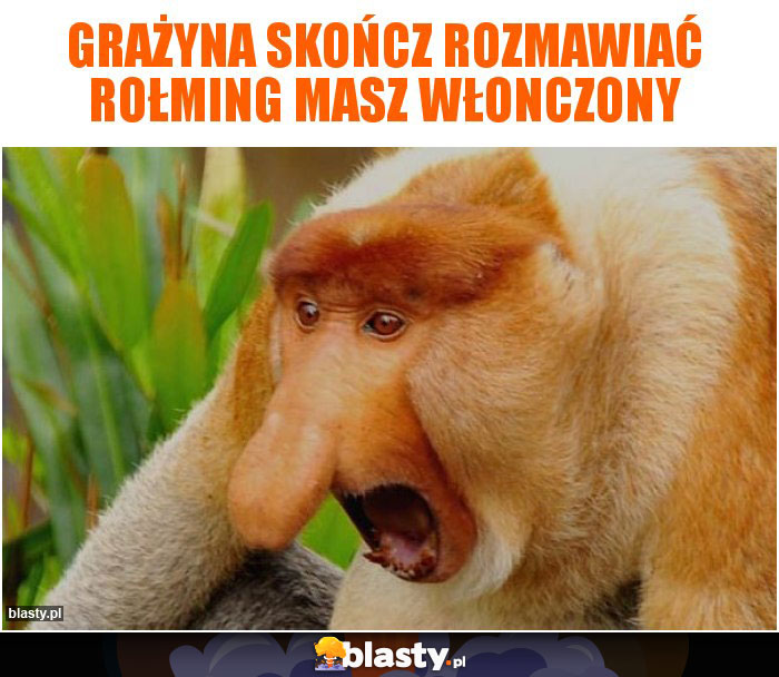 Grażyna skończ rozmawiać