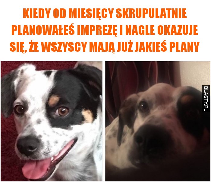 Kiedy od miesięcy skrupulatnie planowałeś imprezę