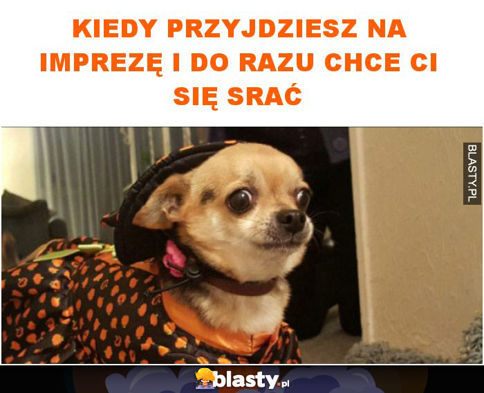 Kiedy przyjdziesz na imprezę i do razu chce ci się srać