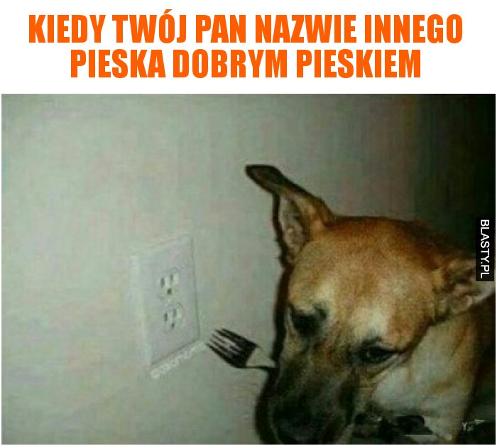 Kiedy Twój Pan nazwie innego pieska dobrym pieskiem