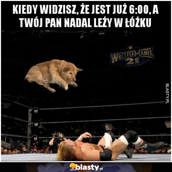 Kiedy widzisz, że jest już 6.00