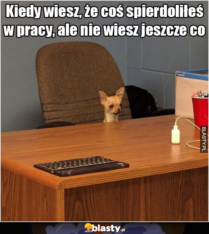 Kiedy wiesz, że coś spierdoliłeś w pracy, ale nie wiesz jeszcze co