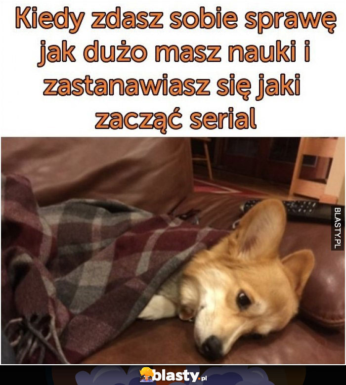 Kiedy zdasz sobie sprawę jak dużo masz nauki