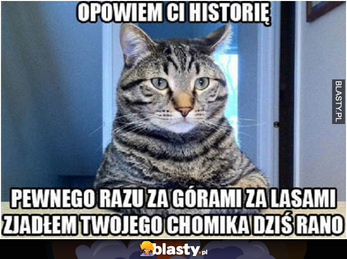 Opowiem ci historię