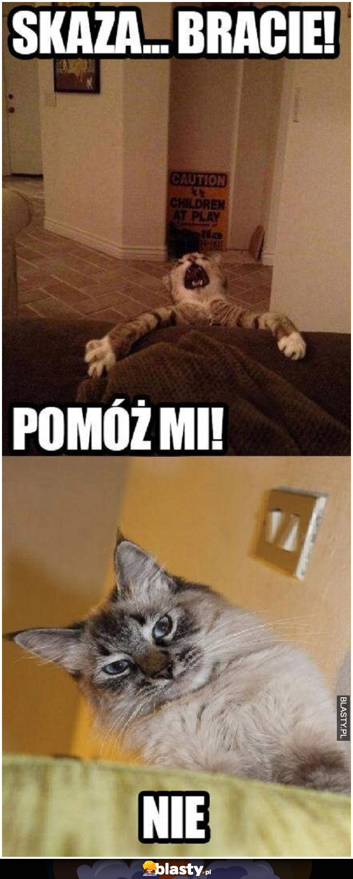 pomóż mi