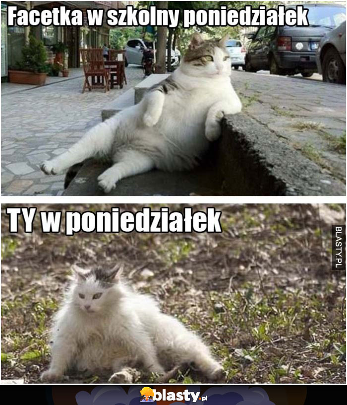 Poniedziałek