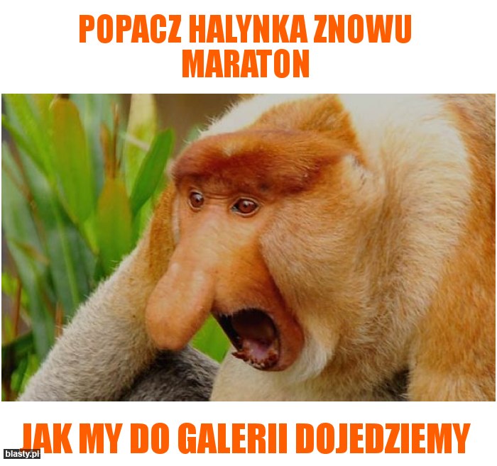 Popacz halynka znowu maraton