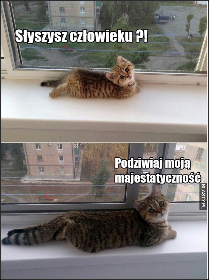 Słyszysz człowieku