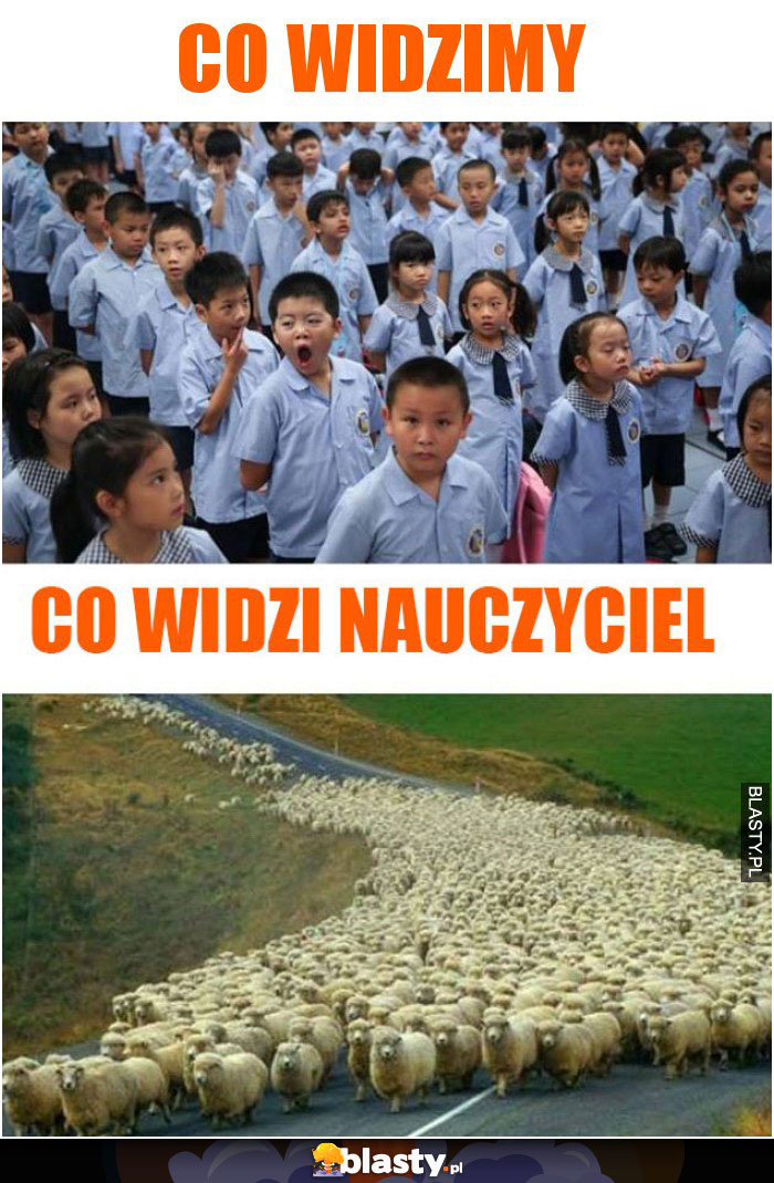 Co widzimy my vs co widzi nauczyciel