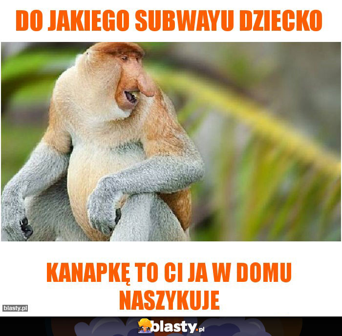 Do jakiego subwayu dziecko