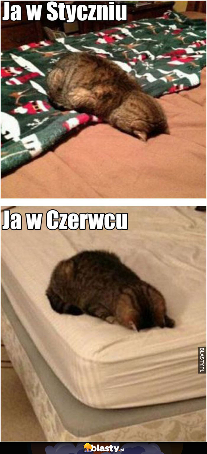 Ja w styczniu VS ja w czerwcu