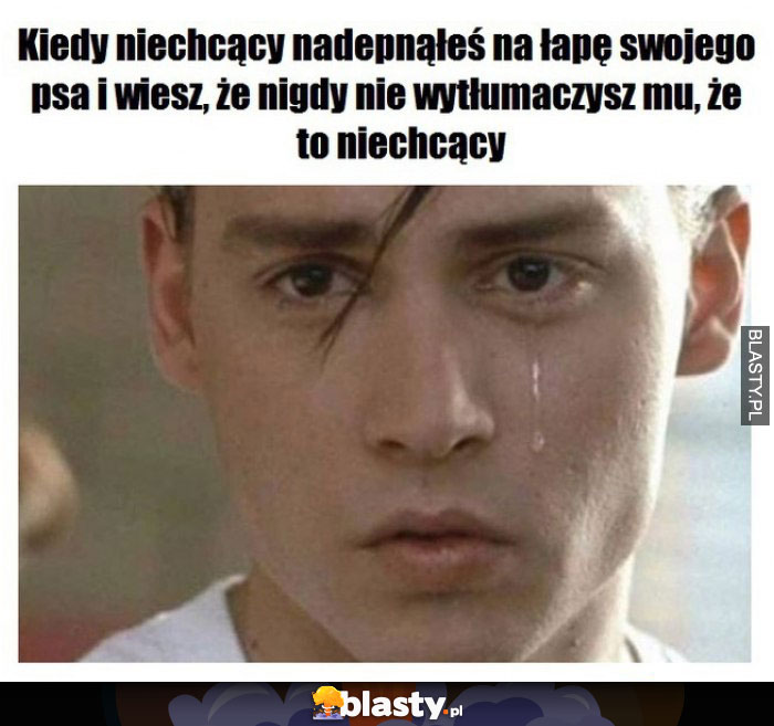 Kiedy niechcący nadepnąłeś na nogę Twojego psa