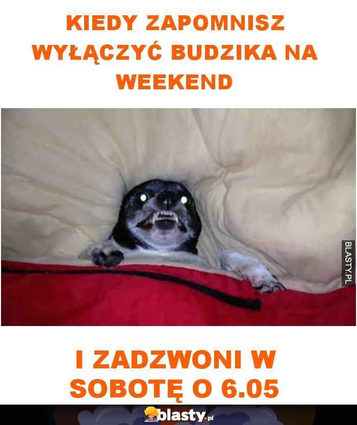 Kiedy zapomnisz wyłączyć budzika na weekend i zadzwoni w sobotę o 6.05