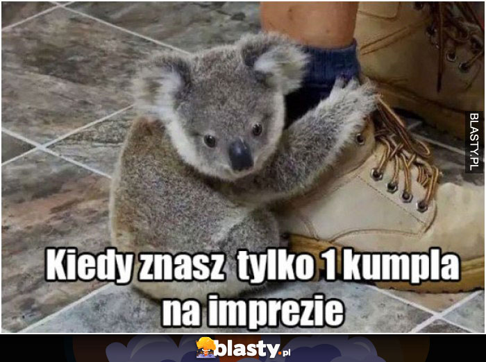 Kiedy znasz tylko jednego kumpla na imprezie