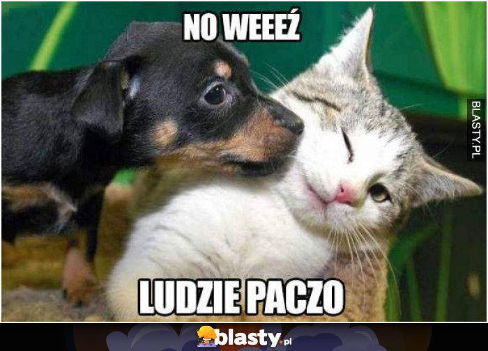 No weź, ludzie patrzą