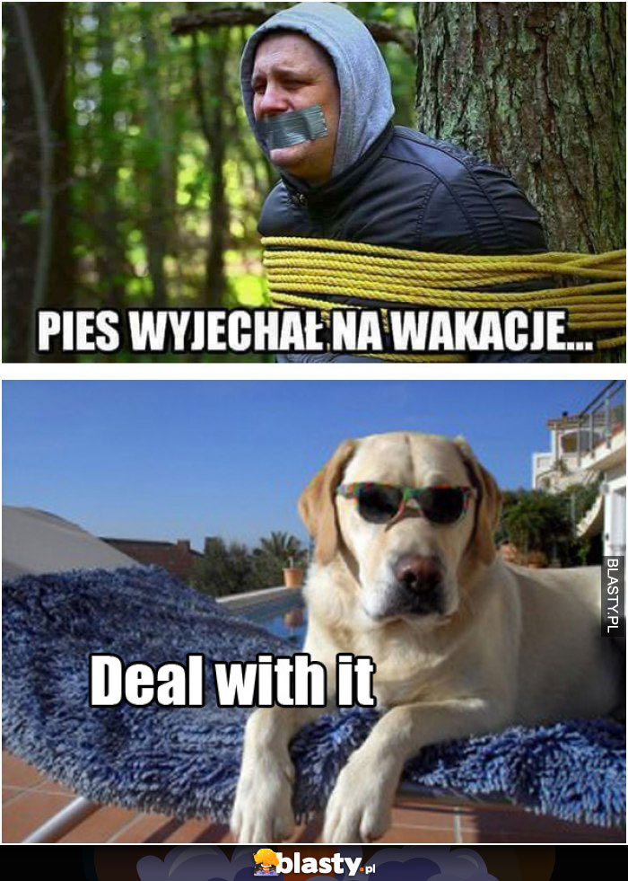 Pies wyjechał na wakacje