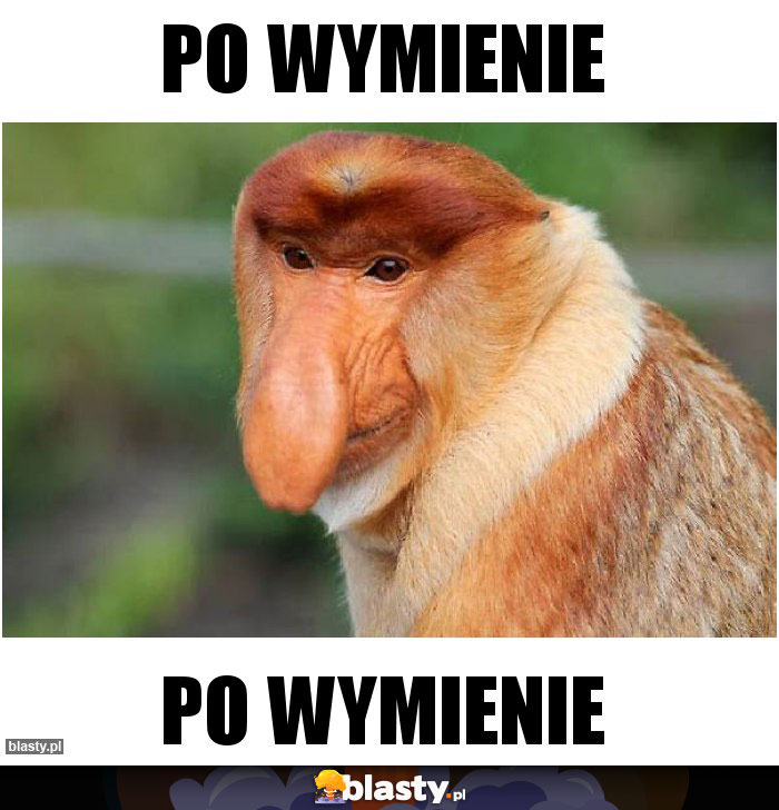 po wymienie